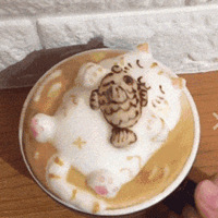 ʲô����ô�ɰ���è�䣬���Ǿ�Ȼ��һ�ڳԵ�����