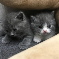 һ���´������Ƥ�ˣ��Ҹ��¼Ҵ��߰�