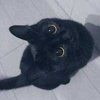 ��������ֻ��è��ƽʱϲ�����������գ��ؼ�����ô�ĵ���ô��..