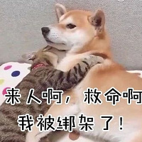 è͸CPȻ˲ѣȴ...