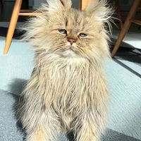 ��ֻè��ȫڹ������ĩ��˯����Ϻ������...