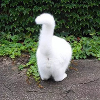 ������һ��ë��һ�����ȣ�һ��ƨ�ɣ�������û��è...