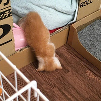 ���������������Ķ���˯