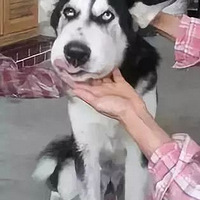 ôͳˣԭ̫桭