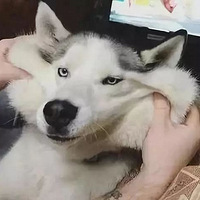 ս˭Ӯ
