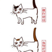 ��Щ��ͬ��ɫ��è�䣬ԭ��������ô�����Ľз�~