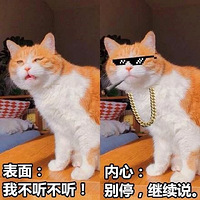 è����ʺǧ��𶪣�����������ë��