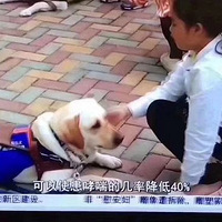 �����Ż��в�����è�����������Ŷ�������ҥ�ˣ�