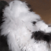 ��������èÿ�κܷ�������ë�����Ķ�����Цʺ����~