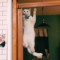 ��è�����ǡ�����è����