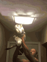 ����������˲��������޵���Ҫ�ԣ��ߣ����ţ�������