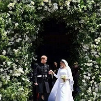 �����ߺ��ơ�����������ô�죿��������ֲ����ô����