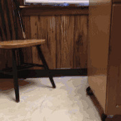 ����С�Է�����ȫ����è��ȴ��������΢Ц�����Դ�wink��