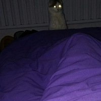 ͵͵�����㣬����һ������ū�ż�ͥ��λ�İ취