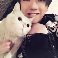 ����Ȧ�����è�����˽�һ�£�