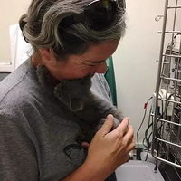 ���ٹ�·��������һĻ��һֻСè���׳����⣬�Һá�