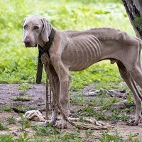 ���������Ҫ��������������ڽ���ĳ������������