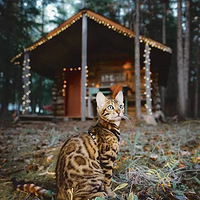 ���������ɽ�ʹ󺣡������걪è������μ�