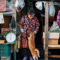 �������̺���è����Ƭ��ʵ��̫ů�ˣ�