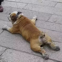 ÿһԸؼҵĹӶһǿĹ⡭
