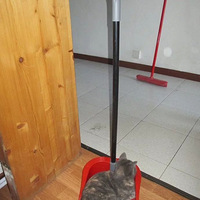 ���Ѽ�ʮ�����Ҳ��Ϊÿ��Ҫ��ɨʱè����...