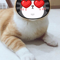 ��ͷ���ţ�����Ϊ��