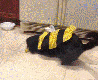 �����˵�����㣬ʵ�������۾�