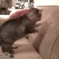 ��Щ���Լ�Ӱ���Ż��˵������ˣ�һ����һ����