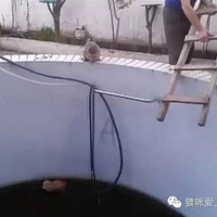 ������֮��Ķ�Թ���侮��ʯԭ��˵�ľ���������