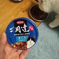 ԭ��èƬ������ô�ĵģ�