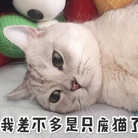 ��˵�����˵Ĺ��ԣ���Ҫ����ֻè�أ�