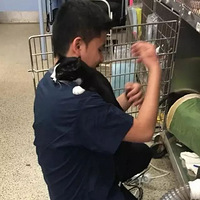 һ����ը����Ƣ��������è�������飬�����ﾹȻ�Ǹ�Ҫ������ħ��