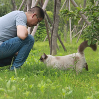 һ��С�Ľ�è����������С����