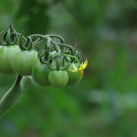 �������Ļ����