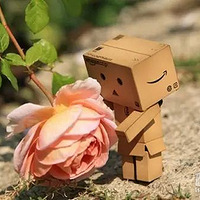 Ϊʲô�����Թ���˫����ʧ���ˣ�