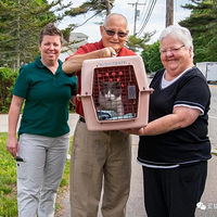 Ů��ȥ��10��ļ��գ������ĸ�ĸ�ӵ�����è�������ĵ绰���ж�