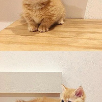 С����ÿ�춼���Ŵ��۾���������˼�Ĵ������������