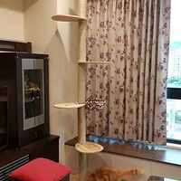 ���Ѹ������èװ�˸����ܣ�һ��ʼè����ϲ���������º�...