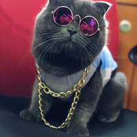 ���籭Ҫ��Ļ�ˣ���ʺ�ٺ������˶�׼��������