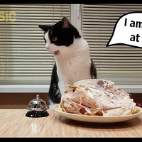 ����Ա�ϲˣ���ֻèÿ�����ܾƵ�ʽ��ͷ�����������Ӯ��...