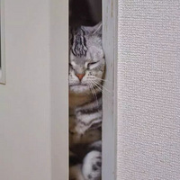 ���������˴��ŷ�͵����ʱ���Դ����ż���...