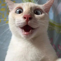 ��èƽʱͦ��������ֻҪ�����˱�����������װ����ɵ...