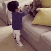 Ҫ���ն��ٴΣ�������Ż���Ҳ������è��