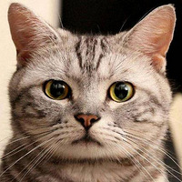 è���϶���һ���ط������������Ϊ����������