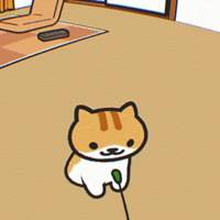 ��Ϊʲôֻ������è���Լ�����û��X����