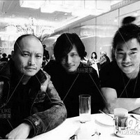 �������� Medicap ŷʽ����΢ë����ֲ����