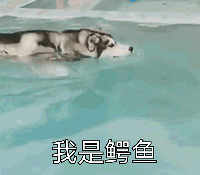 ��è�������ڼң�ÿ�ζ����С���ϲ��