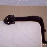 è����Ȼ��һ�ֵ��͵��޼�׵�����