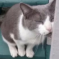 èūŮ��ȥ��ʮ����ļ��գ��Ϸ򸾽ӵ�һͨ��������ӯ���ĵ绰��