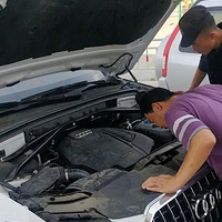 ����ã���ķ��������������һֻСè��